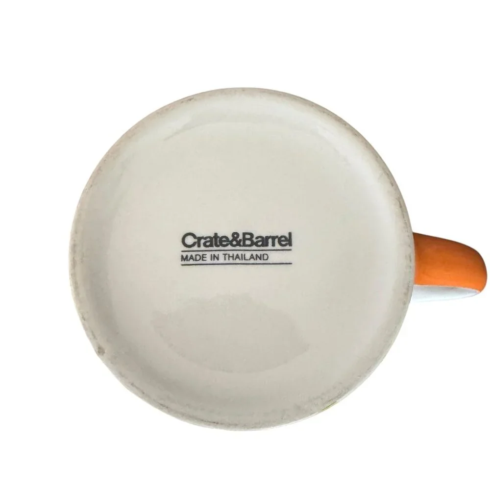 Crate&Barrel Discontinued Chevron Citrus Patterned Mug Zig Zag Abstract Pattern